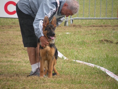 Della stella gemella - Championnat de France 2011